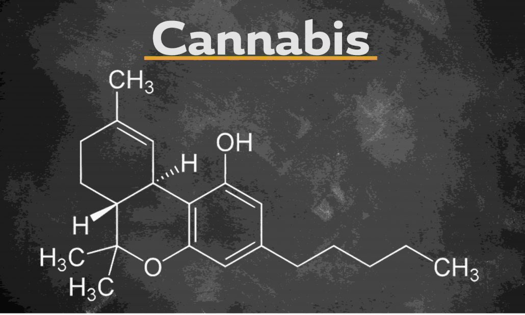 Cannabis Drug Course